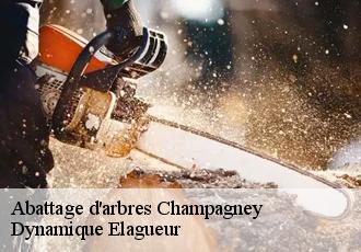 Abattage d'arbres  champagney-39290 Dynamique Elagueur