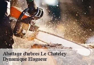 Abattage d'arbres  le-chateley-39230 Dynamique Elagueur
