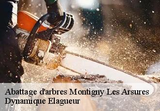 Abattage d'arbres  montigny-les-arsures-39600 Dynamique Elagueur