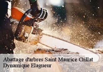 Abattage d'arbres  saint-maurice-crillat-39130 Dynamique Elagueur