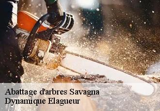 Abattage d'arbres  savagna-39570 Dynamique Elagueur