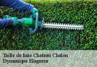 Taille de haie  chateau-chalon-39210 Dynamique Elagueur