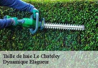 Taille de haie  le-chateley-39230 Dynamique Elagueur