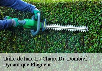 Taille de haie  la-chaux-du-dombief-39150 Dynamique Elagueur