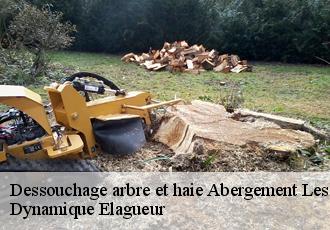 Dessouchage arbre et haie  abergement-les-thesy-39110 Dynamique Elagueur