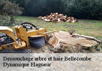 Dessouchage arbre et haie  bellecombe-39310 Dynamique Elagueur