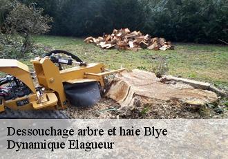 Dessouchage arbre et haie  blye-39130 Dynamique Elagueur