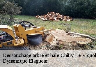 Dessouchage arbre et haie  chilly-le-vignoble-39570 Dynamique Elagueur