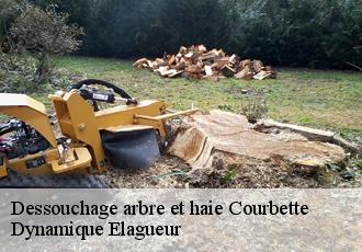 Dessouchage arbre et haie  courbette-39570 Dynamique Elagueur