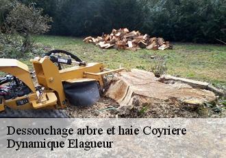 Dessouchage arbre et haie  coyriere-39200 Dynamique Elagueur