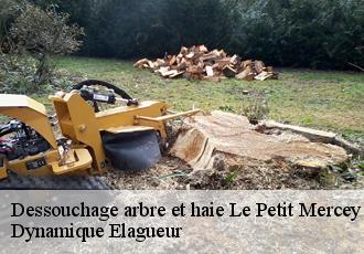 Dessouchage arbre et haie  le-petit-mercey-39350 Dynamique Elagueur