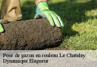 Pose de gazon en rouleau  le-chateley-39230 Dynamique Elagueur
