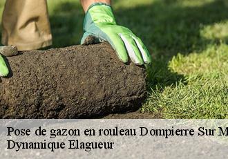 Pose de gazon en rouleau  dompierre-sur-mont-39270 Dynamique Elagueur