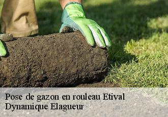 Pose de gazon en rouleau  etival-39130 Dynamique Elagueur
