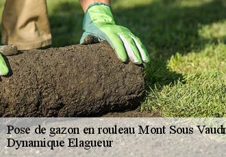 Pose de gazon en rouleau  mont-sous-vaudrey-39380 Dynamique Elagueur