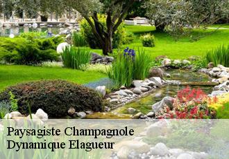 Paysagiste  champagnole-39300 Dynamique Elagueur