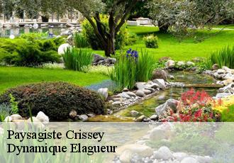 Paysagiste  crissey-39100 Dynamique Elagueur