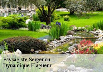Paysagiste  sergenon-39120 Dynamique Elagueur