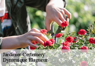 Jardinier  certemery-39330 Dynamique Elagueur