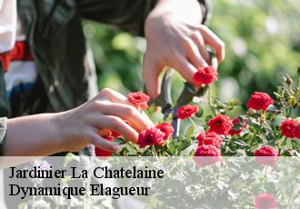 Jardinier  la-chatelaine-39600 Dynamique Elagueur