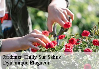Jardinier  chilly-sur-salins-39110 Dynamique Elagueur
