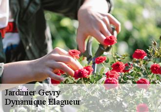 Jardinier  gevry-39100 Dynamique Elagueur