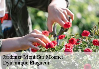 Jardinier  mont-sur-monnet-39300 Dynamique Elagueur