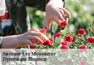 Jardinier  les-moussieres-39310 Dynamique Elagueur
