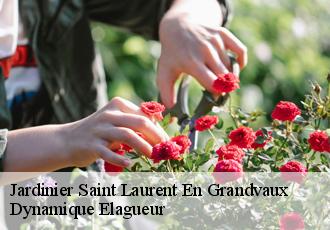 Jardinier  saint-laurent-en-grandvaux-39150 Dynamique Elagueur