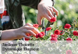 Jardinier  thoirette-39240 Dynamique Elagueur