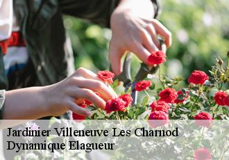 Jardinier  villeneuve-les-charnod-39240 Dynamique Elagueur
