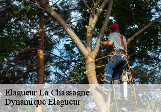 Elagueur  la-chassagne-39230 Dynamique Elagueur