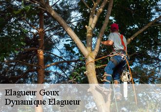 Elagueur  goux-39100 Dynamique Elagueur