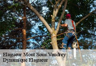 Elagueur  mont-sous-vaudrey-39380 Dynamique Elagueur