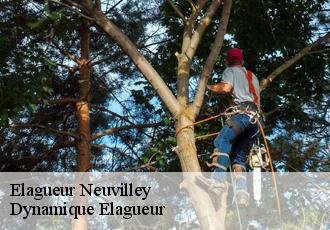 Elagueur  neuvilley-39800 Dynamique Elagueur