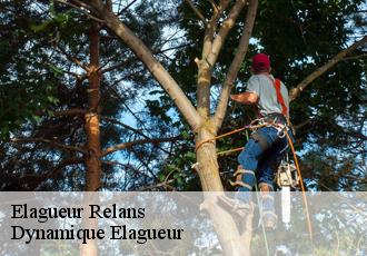 Elagueur  relans-39140 Dynamique Elagueur