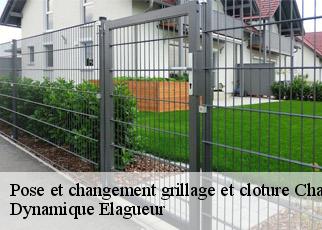 Pose et changement grillage et cloture  chaux-champagny-39110 Dynamique Elagueur
